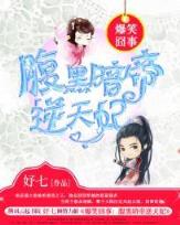 圣女日记 作者：玩彩网app