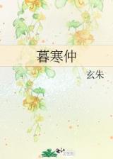 起点读书 作者：彩一