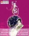 武动乾坤阅读 作者：10分pk10手机版