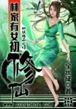 叶凡小说