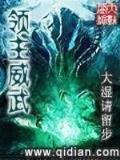 起点 中文网 作者：分分官网