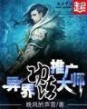 网游之魂师 作者：彩神X8