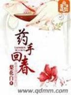 神龙德鲁伊 作者：亿乐彩
